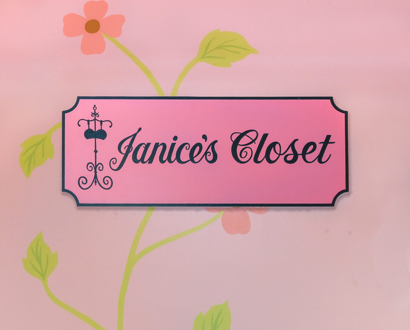 Janices Closet wall