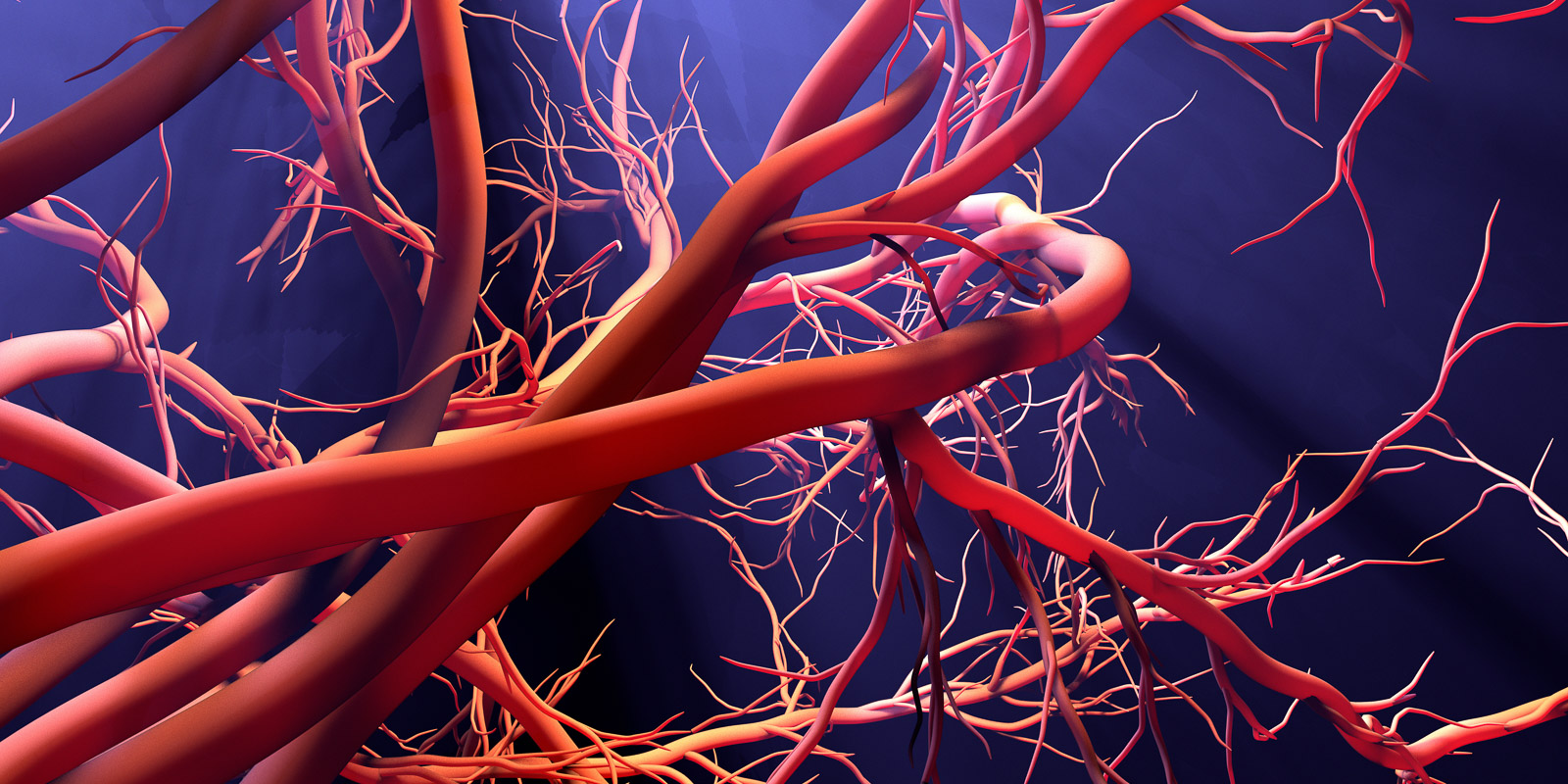 new blood vessel formation
